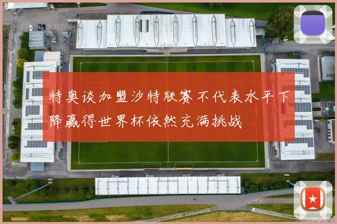 特奥谈加盟沙特联赛不代表水平下降赢得世界杯依然充满挑战