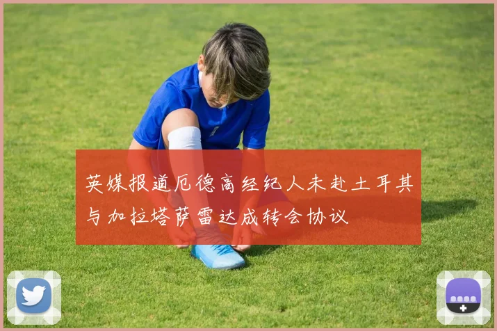 英媒报道厄德高经纪人未赴土耳其与加拉塔萨雷达成转会协议