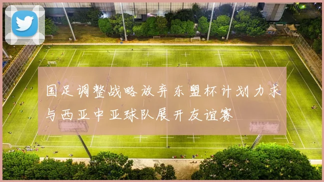 国足调整战略放弃东盟杯计划力求与西亚中亚球队展开友谊赛